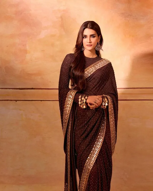 Beautiful_Bollywood_Fancy_Georgette_Saree