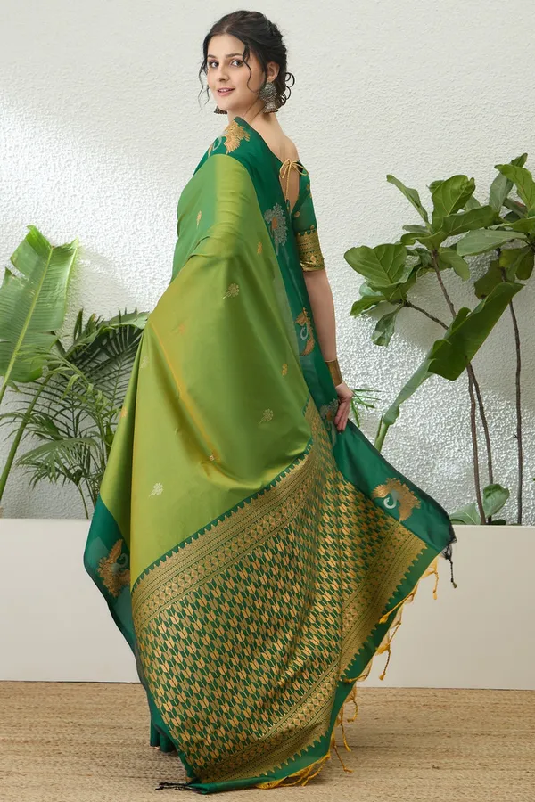 Soft_Silk_With_Zari_Worked_Fancy_Saree