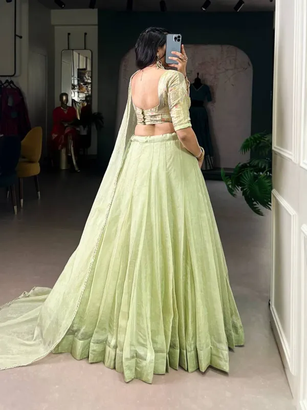 Allen_Crush_Plain_Lehenga_Choli