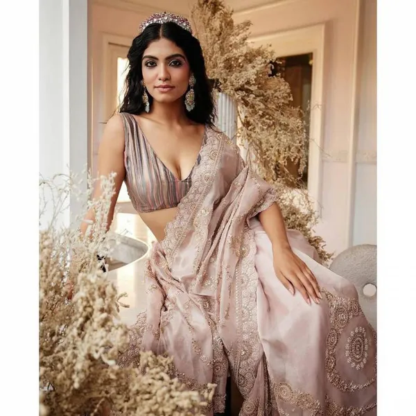 Beautiful_Organza_Embroidered_Party_Wear_Saree