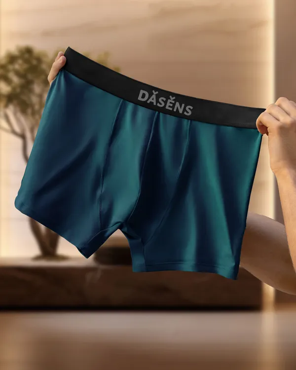 Pack_Of_2_Premium_Nylon_Brief_For_Men_(Light_Green_&_Grey)