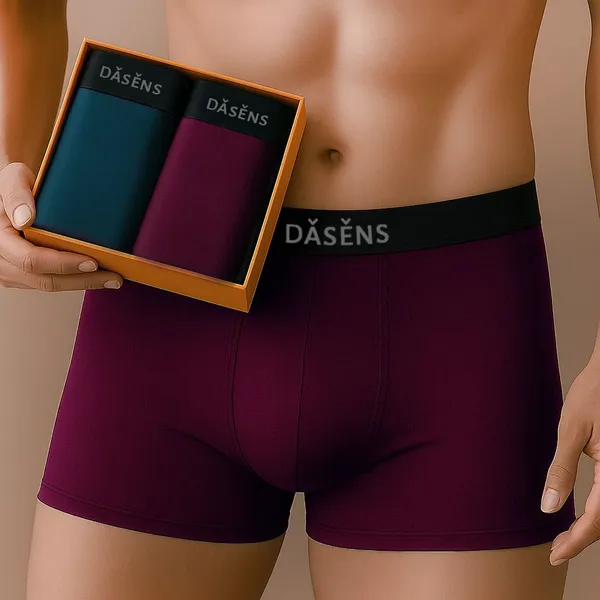 Pack_Of_2_Premium_Nylon_Brief_For_Men_(Maroon_&_Light_Green)