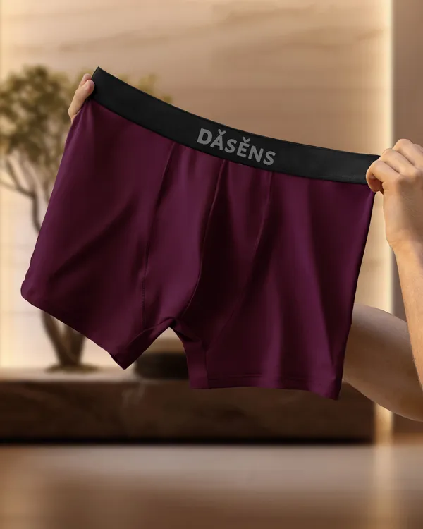 Pack_Of_2_Premium_Nylon_Brief_For_Men_(Maroon_&_Light_Green)