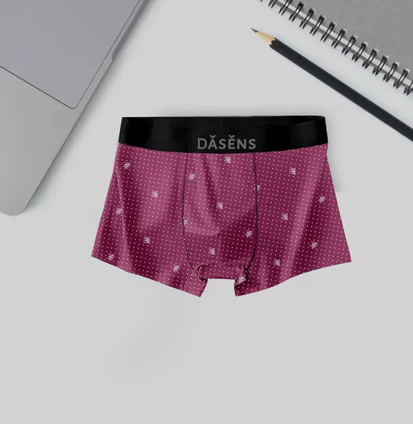 Pack_Of_4_Premium_Nylon_Brief_For_Men_(Multicolor)