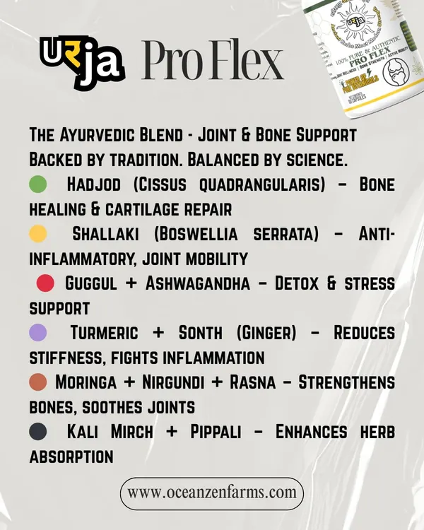 Urja_Pro_Flex_-_Herbal_Joint_Care_Capsules_With_Hadjod_Shallaki_Ashwagandha_And_Turmeric_For_Body_Movement_And_Flexibility_With_Daily_Plant_Based_Intake_90_Vegetarian_For_Everyday_Routine