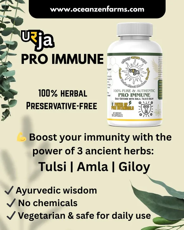 Urja_Pro_Immune_with_Tulsi_Amla_Giloy_Capsules_With_Plant_Based_Elements_For_Regular_Immune_Routine_And_Seasonal_Balance_Using_Daily_Vegetarian_Capsules_(Pack_Of_90_Units)