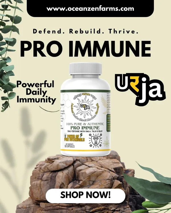 Urja_Pro_Immune_with_Tulsi_Amla_Giloy_Capsules_With_Plant_Based_Elements_For_Regular_Immune_Routine_And_Seasonal_Balance_Using_Daily_Vegetarian_Capsules_(Pack_Of_90_Units)