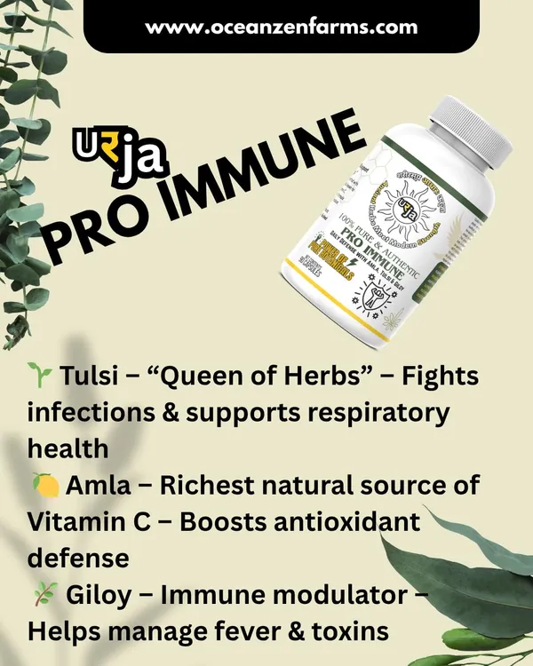 Urja_Pro_Immune_with_Tulsi_Amla_Giloy_Capsules_With_Plant_Based_Elements_For_Regular_Immune_Routine_And_Seasonal_Balance_Using_Daily_Vegetarian_Capsules_(Pack_Of_90_Units)