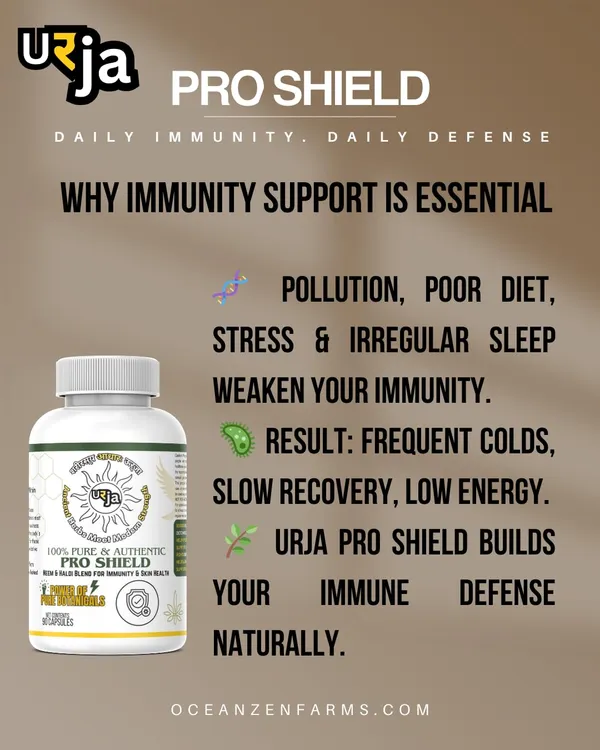 Urja_Pro_Shield_Neem_Curcumin_Piperine_With_Ayurvedic_Plant_Mix_For_Inner_Care_And_Balance_90_Vegetarian_Capsules_Per_Container_Herbal_Capsules_For_Daily_Routine