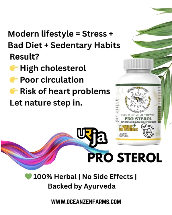 Urja_Pro_Sterol_-_Cardio_Care_Herbal_Capsules_With_Arjuna_Kashmiri_Garlic_And_Kali_Mirch_For_Daily_Balance_Using_Plant_Sourced_Elements_In_Vegetarian_Format_90_Capsules_Per_Container