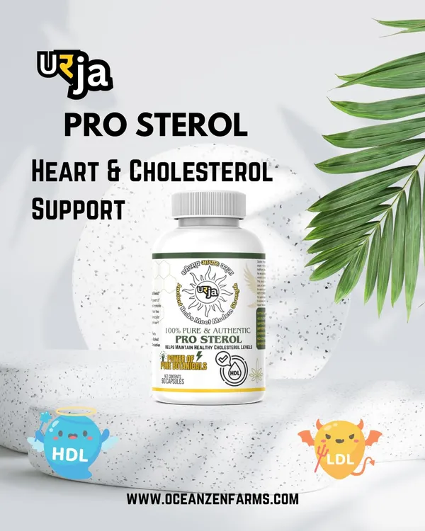 Urja_Pro_Sterol_-_Cardio_Care_Herbal_Capsules_With_Arjuna_Kashmiri_Garlic_And_Kali_Mirch_For_Daily_Balance_Using_Plant_Sourced_Elements_In_Vegetarian_Format_90_Capsules_Per_Container