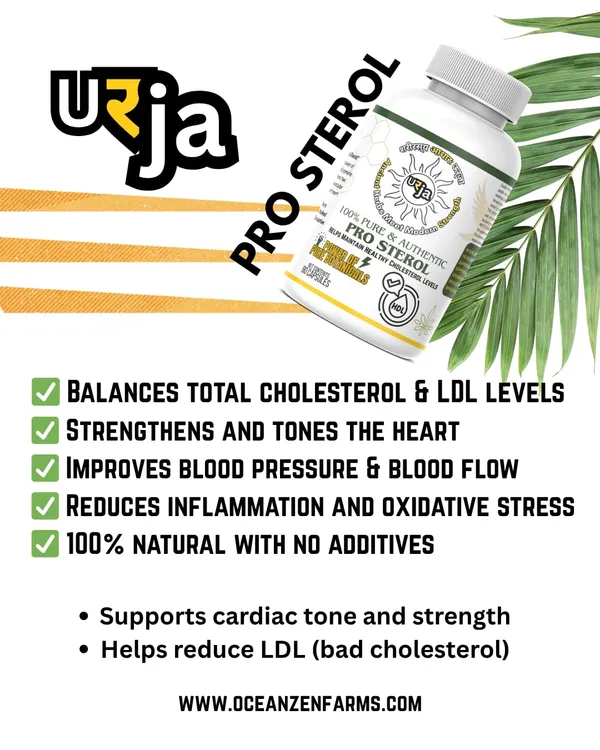 Urja_Pro_Sterol_-_Cardio_Care_Herbal_Capsules_With_Arjuna_Kashmiri_Garlic_And_Kali_Mirch_For_Daily_Balance_Using_Plant_Sourced_Elements_In_Vegetarian_Format_90_Capsules_Per_Container