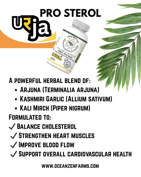 Urja_Pro_Sterol_-_Cardio_Care_Herbal_Capsules_With_Arjuna_Kashmiri_Garlic_And_Kali_Mirch_For_Daily_Balance_Using_Plant_Sourced_Elements_In_Vegetarian_Format_90_Capsules_Per_Container