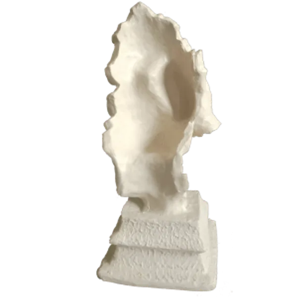 White_Man_Thinker_Hand_At_Face_Statue