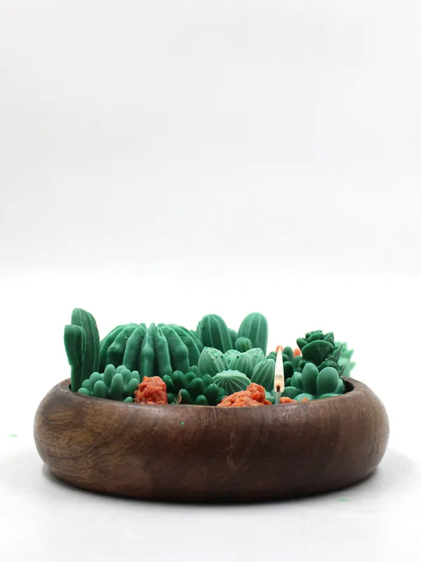 Cactus_tray(Jasmine_)Candle_For_Home,Office,Living_Room