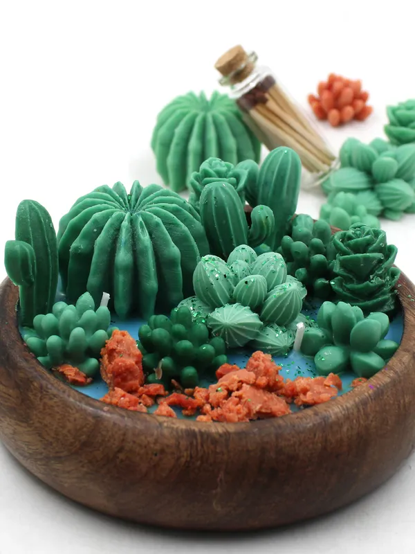 Cactus_tray(Jasmine_)Candle_For_Home,Office,Living_Room