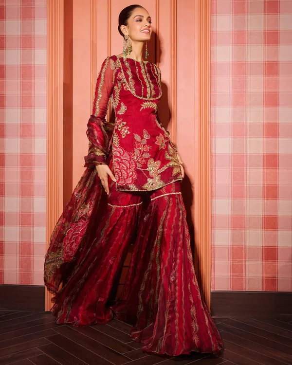 Mehr-e-Laal_Mirrorwork_Sharara