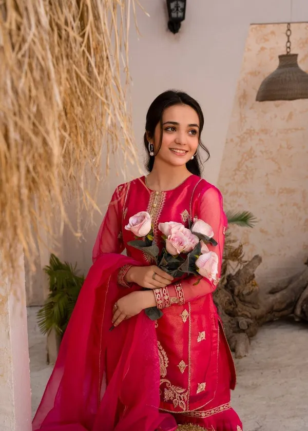 Rani_Gulmohar_??Designer_Party_Palazzo_Set