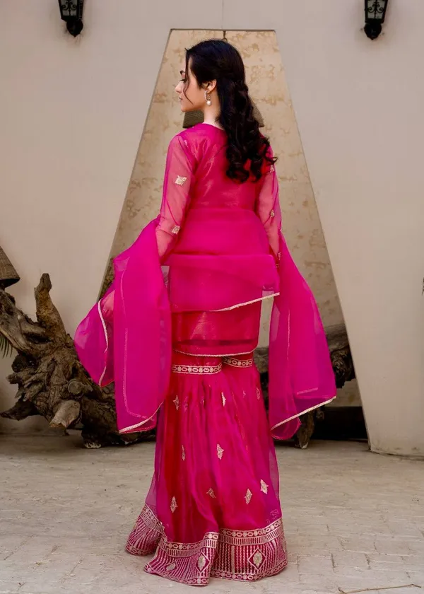Rani_Gulmohar_??Designer_Party_Palazzo_Set