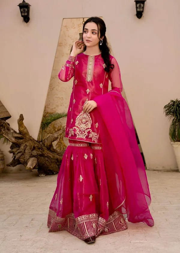 Rani_Gulmohar_??Designer_Party_Palazzo_Set