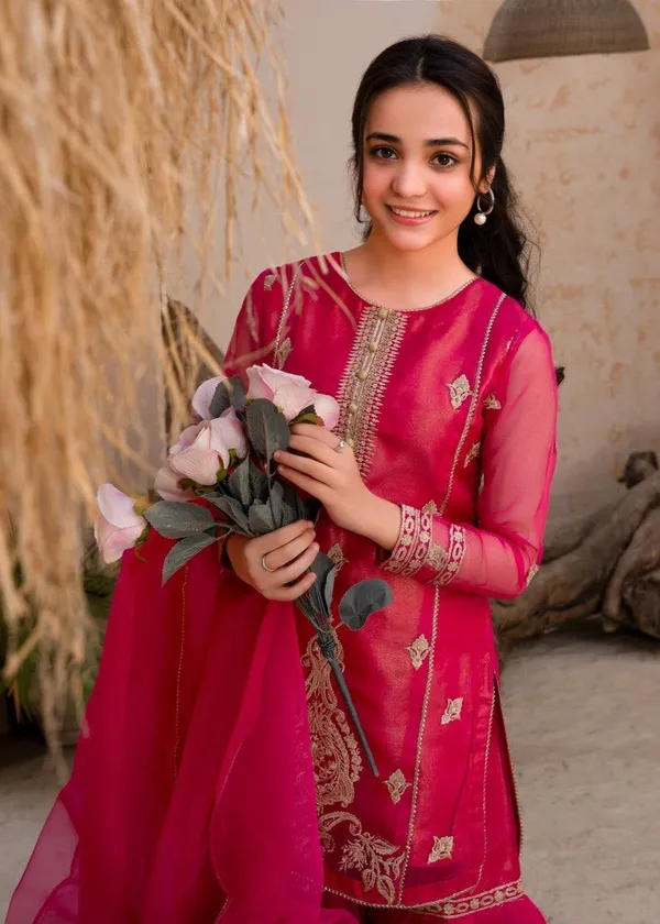 Rani_Gulmohar_??Designer_Party_Palazzo_Set