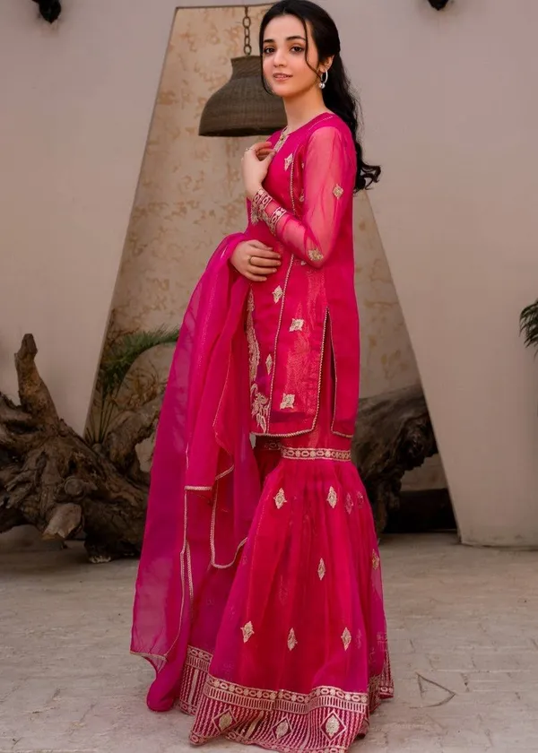 Rani_Gulmohar_??Designer_Party_Palazzo_Set
