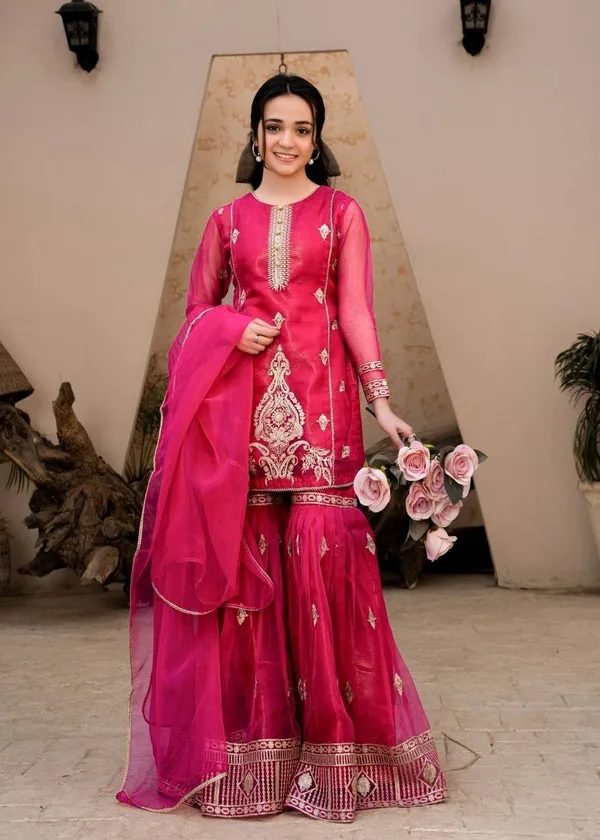 Rani_Gulmohar_??Designer_Party_Palazzo_Set
