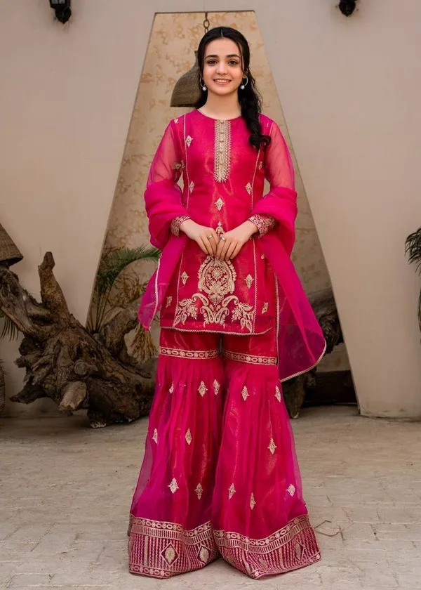 Rani_Gulmohar_??Designer_Party_Palazzo_Set