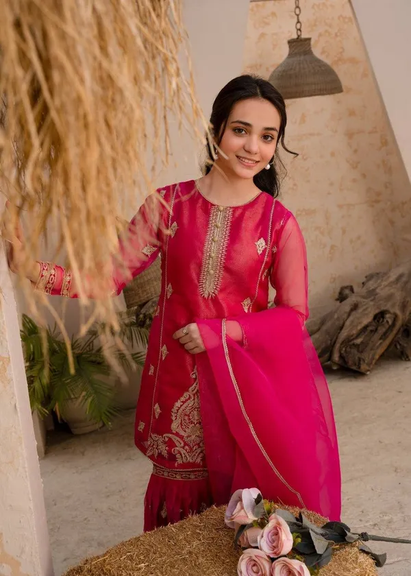 Rani_Gulmohar_??Designer_Party_Palazzo_Set