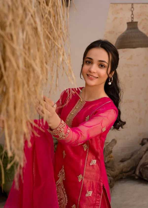 Rani_Gulmohar_??Designer_Party_Palazzo_Set