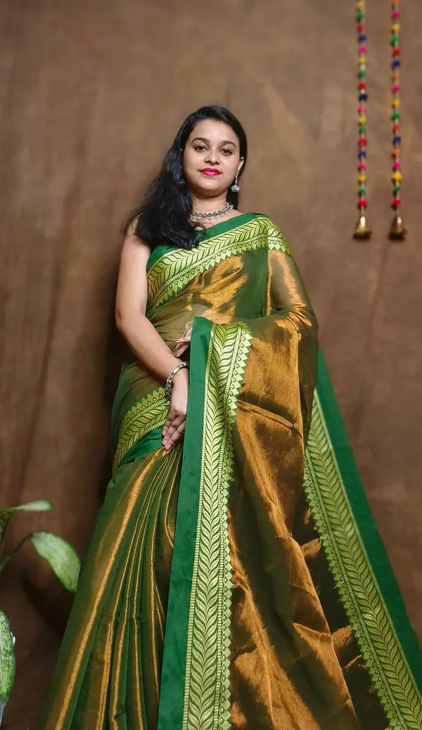 Greenish_Brown_Tissue_Handloom_Embellished_Saree_For_Women