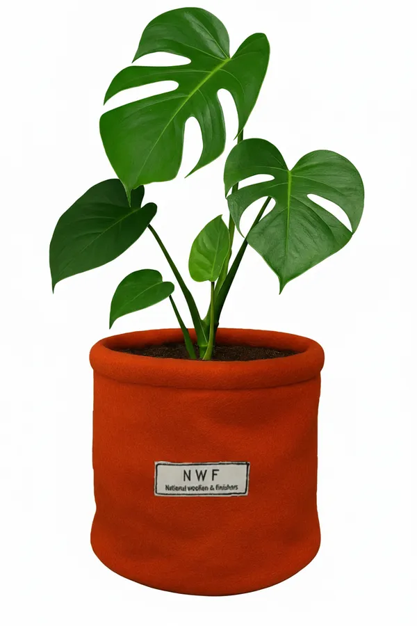 100%_Pure_Wool_Felt_Indoor_Plant_Pot_(Pack_of_1_Piece)