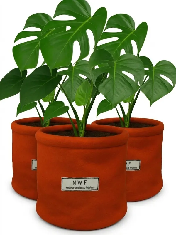 100%_Pure_Wool_Felt_Indoor_Plant_Pot_(Pack_of_4_Pieces)