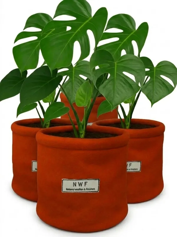 100%_Pure_Wool_Felt_Indoor_Plant_Pot_(Pack_of_4_Pieces)