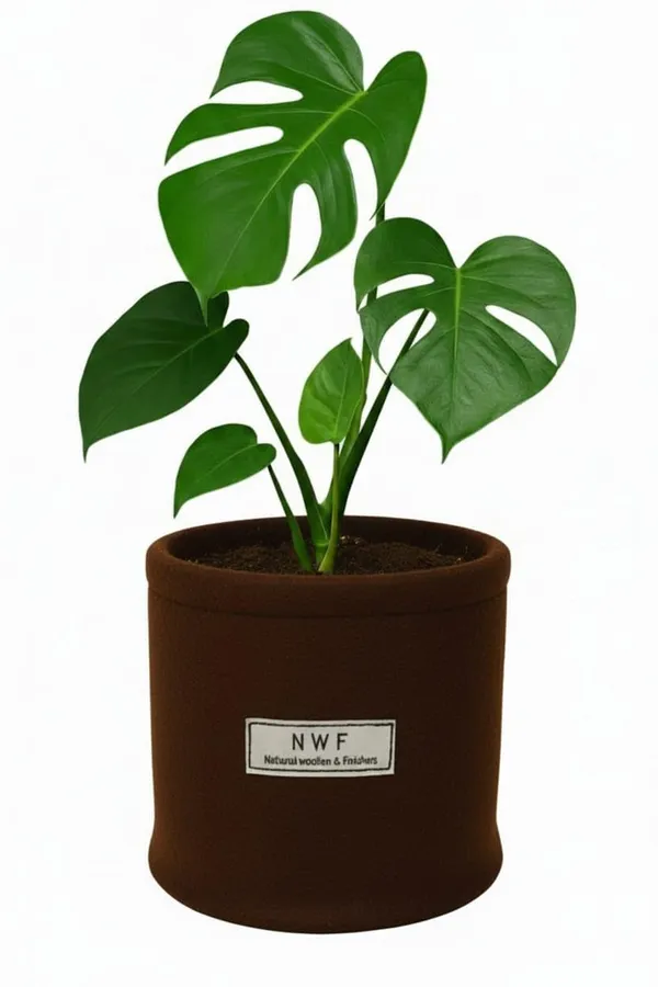 100%_Pure_Wool_Felt_Indoor_Plant_Pot_(Pack_of_5_Pieces)