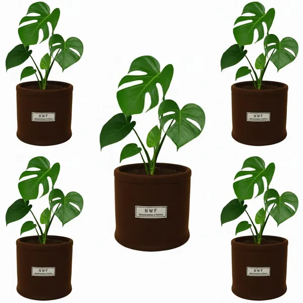 100%_Pure_Wool_Felt_Indoor_Plant_Pot_(Pack_of_5_Pieces)