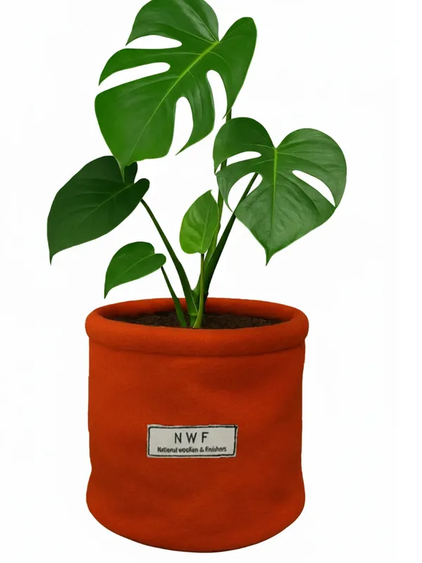 100%_Pure_Wool_Felt_Indoor_Plant_Pot_(Pack_of_1_Piece)