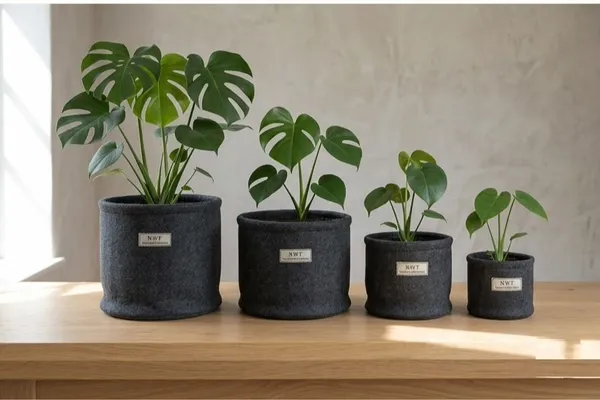 100%_Pure_Wool_Felt_Indoor_Plant_Pot_(Pack_of_4_Pieces)