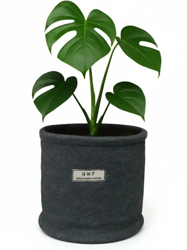 100%_Pure_Wool_Felt_Indoor_Plant_Pot_(Pack_of_1_Piece)