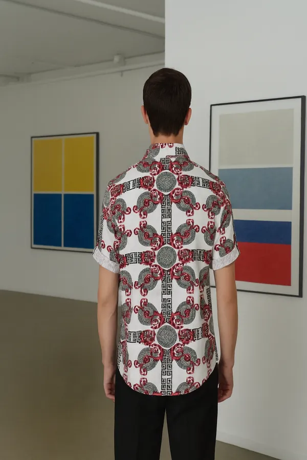 Multi_Colour_Cotton_Classic_Shirt_For_Men