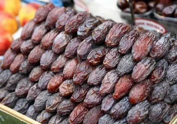Hybrid_Date_Fruit_Plant_(1.5-3_Feet_Height_Pack_Of_1)