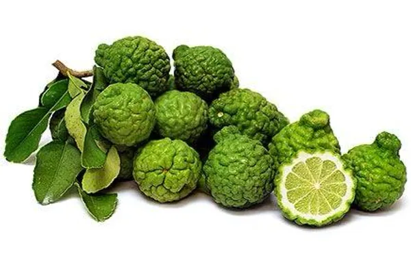 Kaffir_Lemon_Fruit_Plant_(Hybrid_&_Grafting)_Pack_Of-1