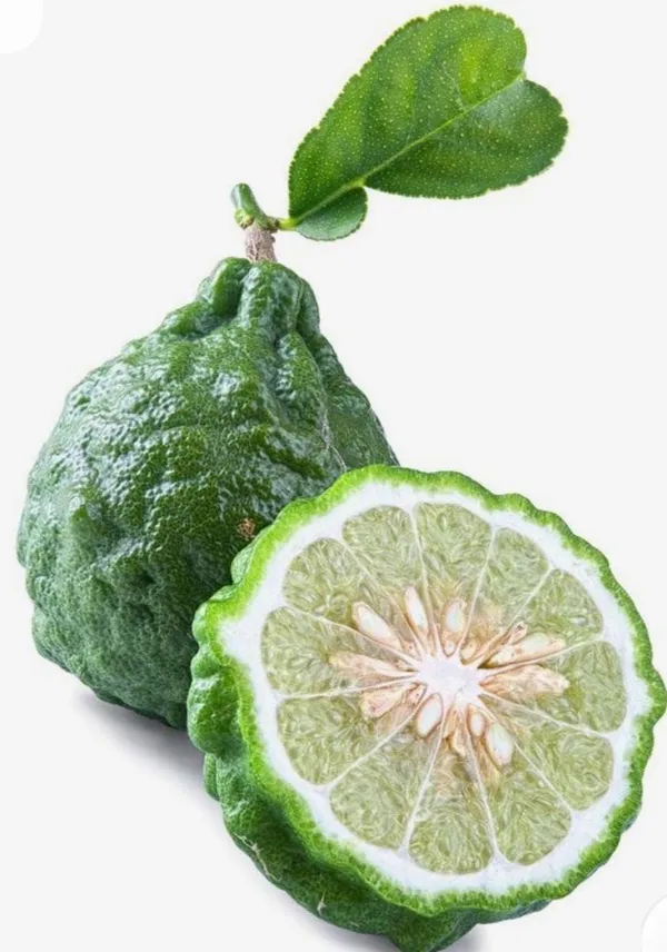 Kaffir_Lemon_Fruit_Plant_(Hybrid_&_Grafting)_Pack_Of-1