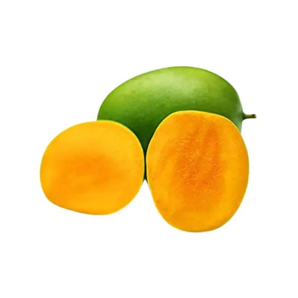 Hybrid_Malda_Mango_🥭🥭🥭_Grafting_Fruit_Live_Plant_(1.5-3_Feet_Height_Pack_Of_1)