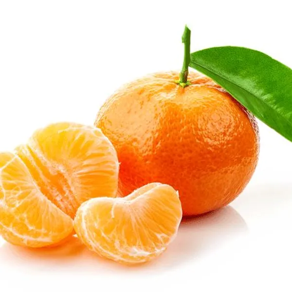 Hybrid_Kinnow_Orange__Grafting_Fruit_Plant_🍊🍊🍊(Pack_Of_1)