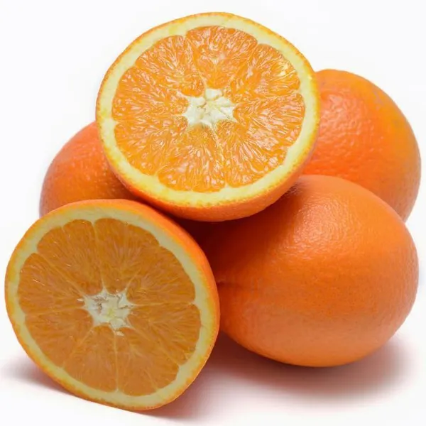 Hybrid_Sleet_Orange_Grafting_Plant_🍊🍊🍊(Pack_Of_1)