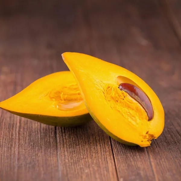 Egg_Fruit_Plant_(Hybrid_&_Grafting)_Pack_Of-1