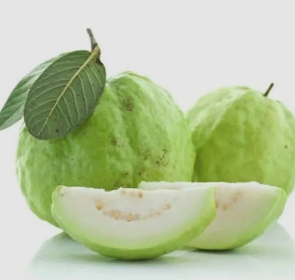 Hybrid_Vnr_Guava_Fruit_Plant_(Pack_Of-1_)