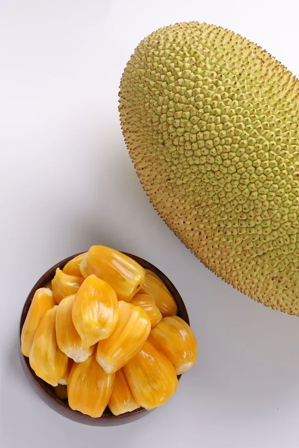 Thai_All_Time_Jackfruit_Grafting_Plant_(Pack_Of_1)