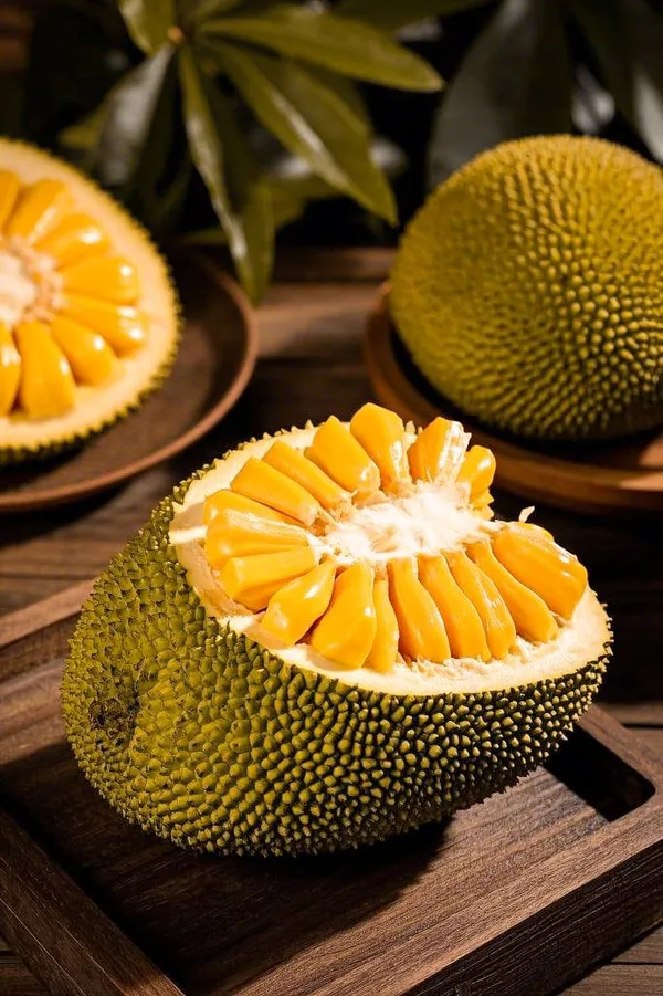 Thai_All_Time_Jackfruit_Grafting_Plant_(Pack_Of_1)